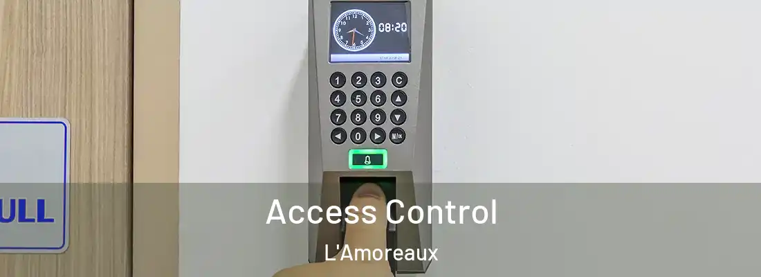 Access Control L'Amoreaux
