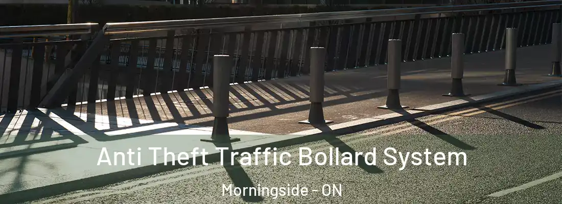 Anti Theft Traffic Bollard System Morningside - ON
