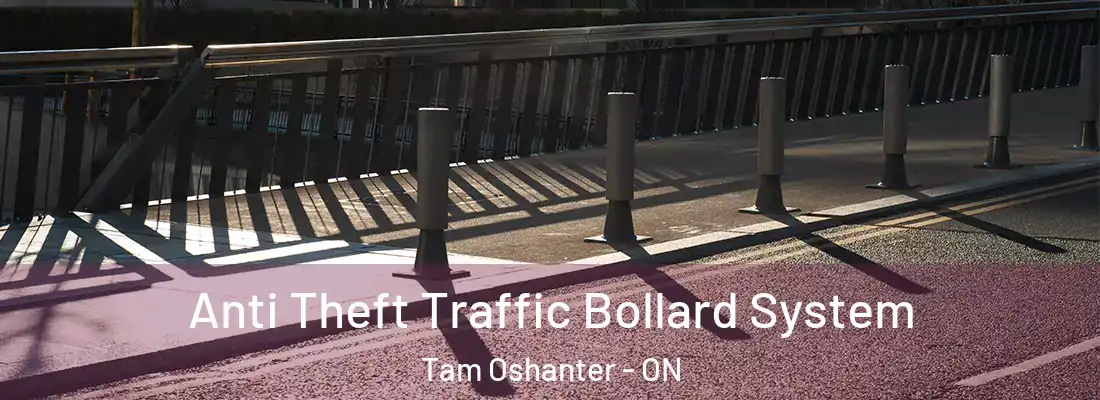  Anti Theft Traffic Bollard System Tam Oshanter - ON