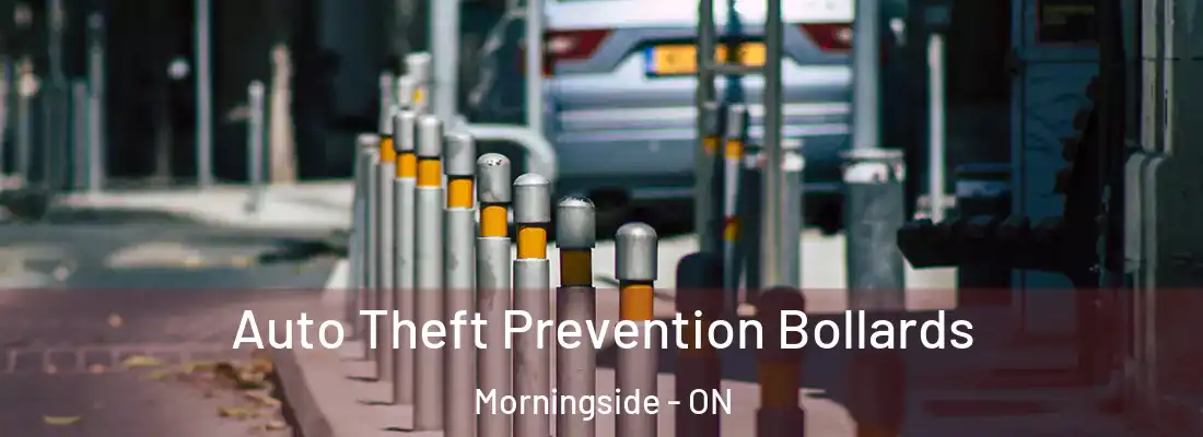  Auto Theft Prevention Bollards Morningside - ON