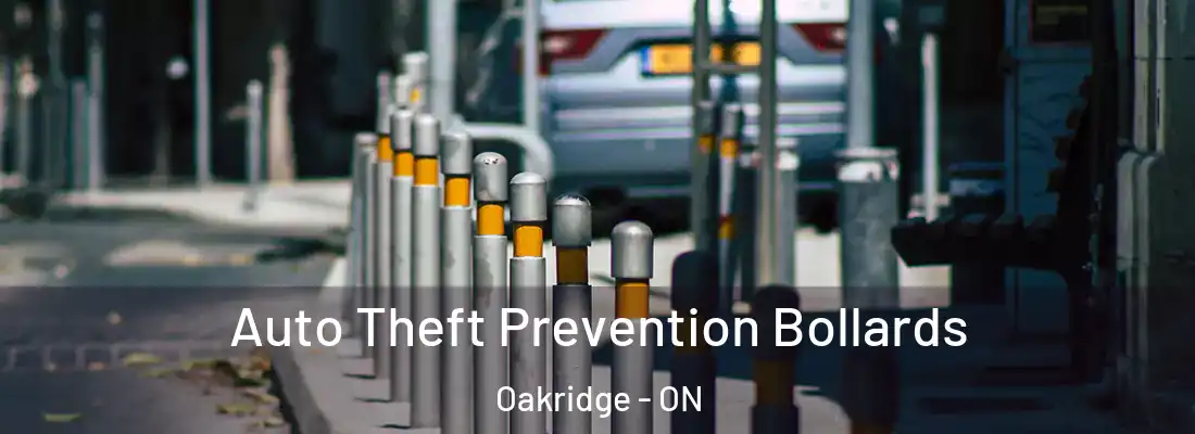  Auto Theft Prevention Bollards Oakridge - ON