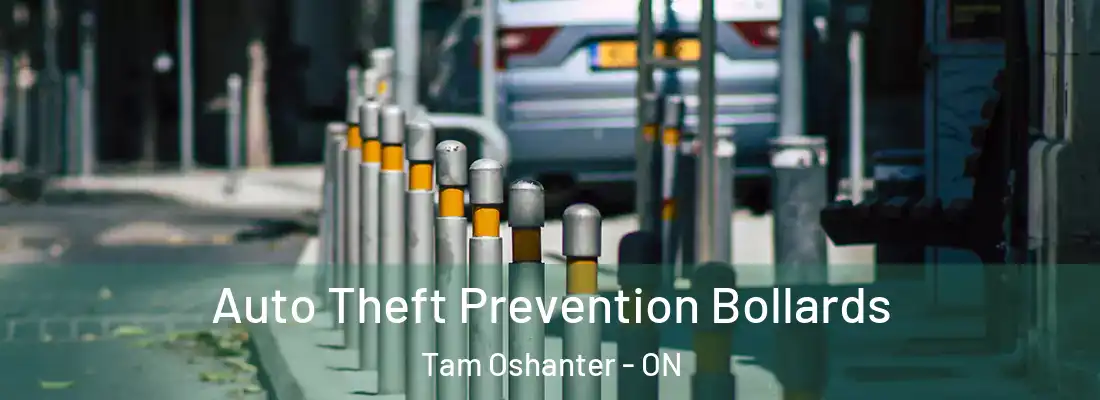  Auto Theft Prevention Bollards Tam Oshanter - ON
