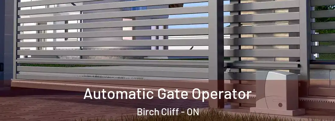  Automatic Gate Operator Birch Cliff - ON