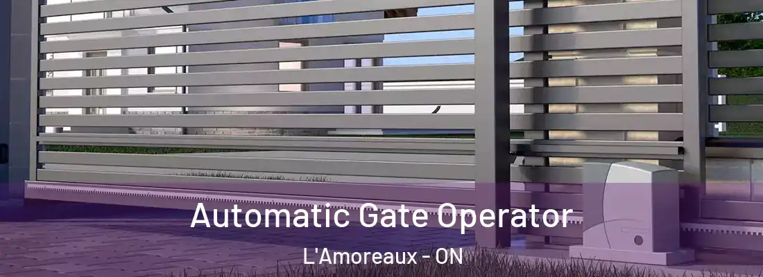  Automatic Gate Operator L'Amoreaux - ON