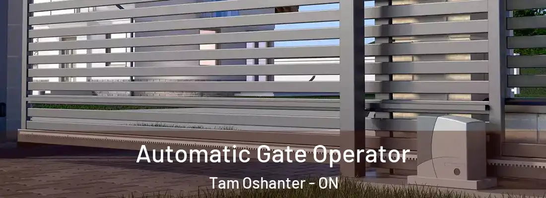  Automatic Gate Operator Tam Oshanter - ON