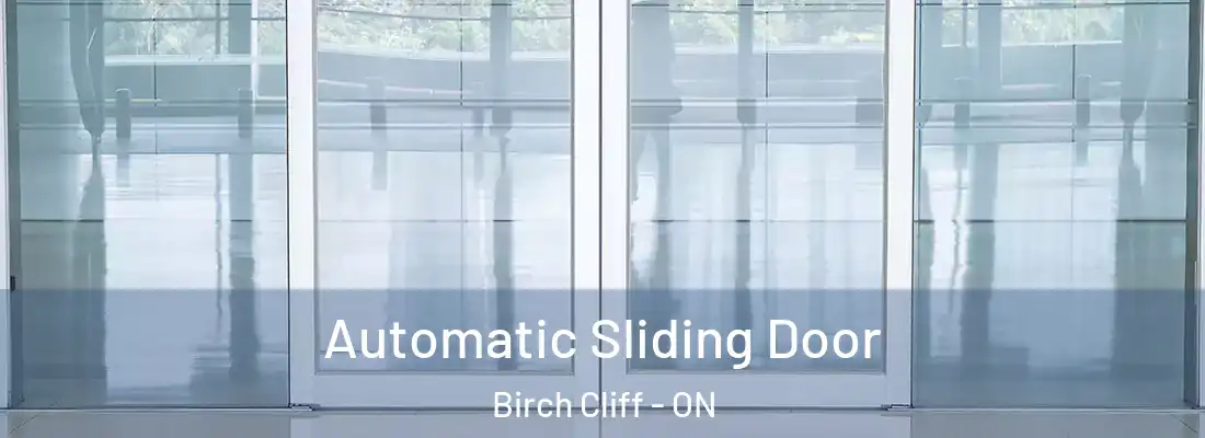  Automatic Sliding Door Birch Cliff - ON