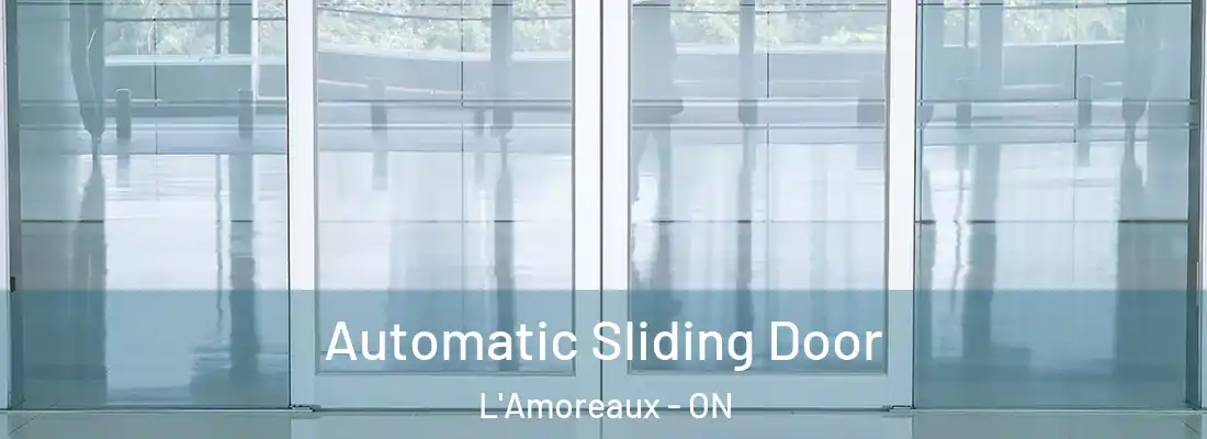  Automatic Sliding Door L'Amoreaux - ON