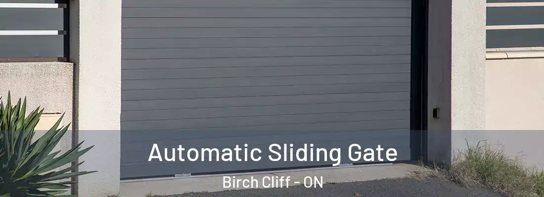  Automatic Sliding Gate Birch Cliff - ON