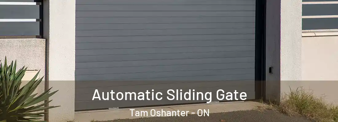  Automatic Sliding Gate Tam Oshanter - ON
