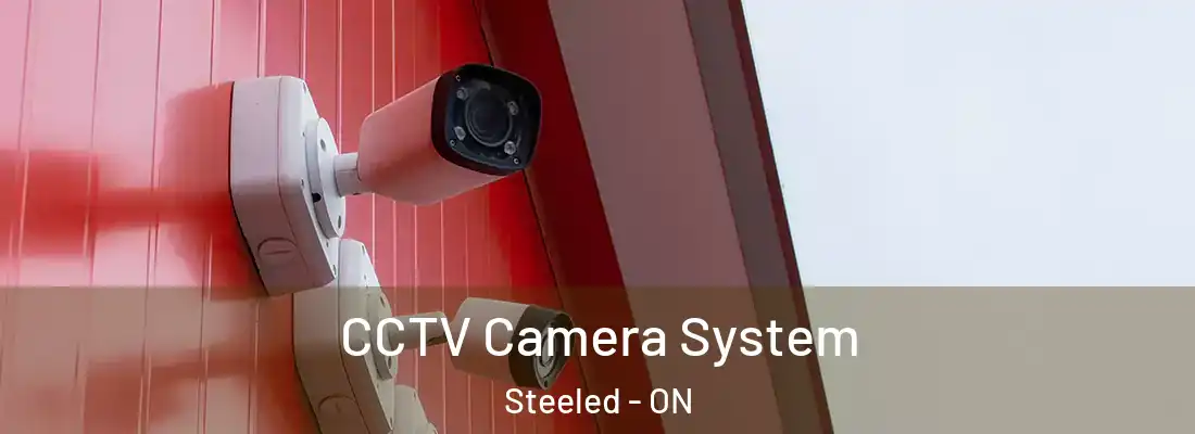  CCTV Camera System Steeled - ON