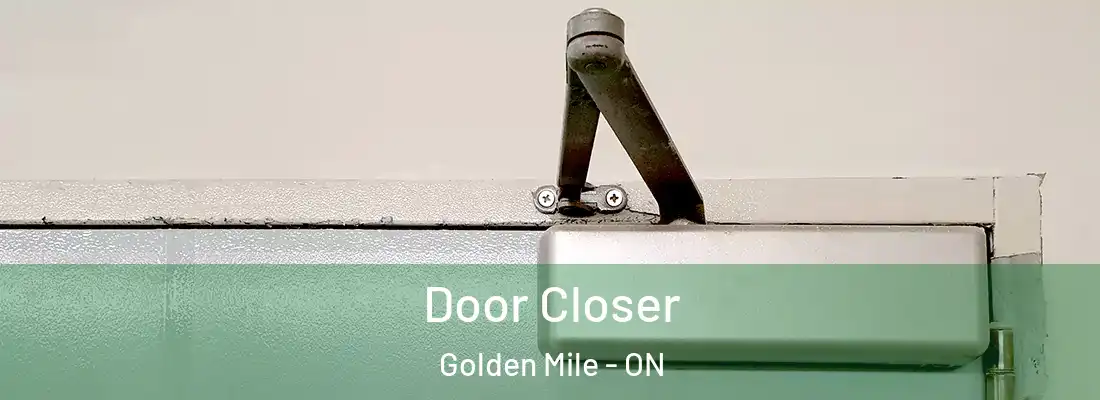  Door Closer Golden Mile - ON
