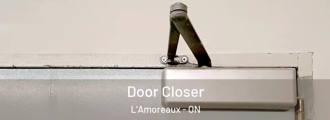  Door Closer L'Amoreaux - ON