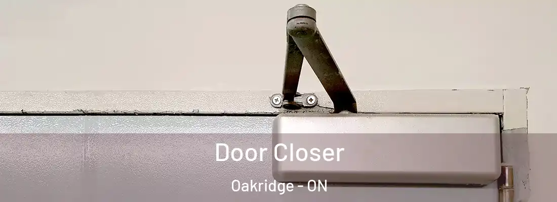  Door Closer Oakridge - ON