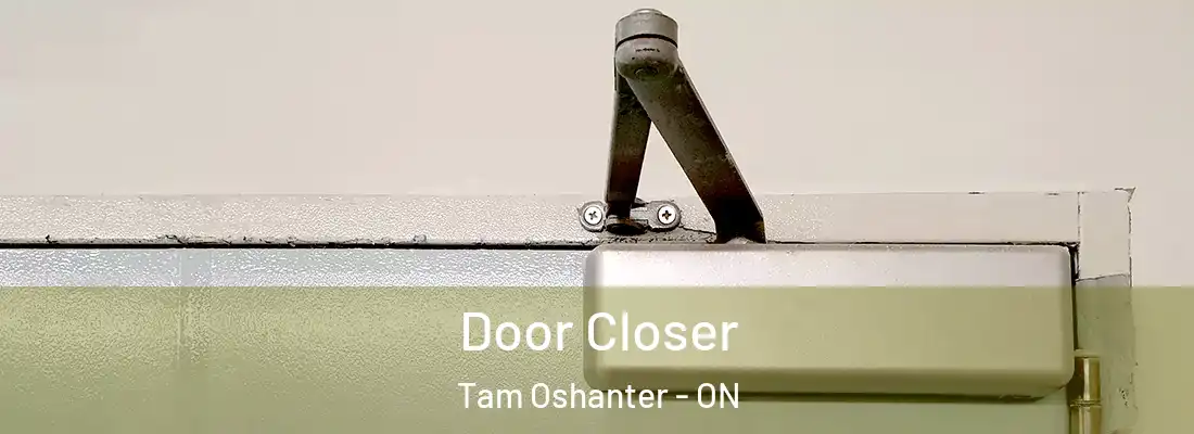  Door Closer Tam Oshanter - ON