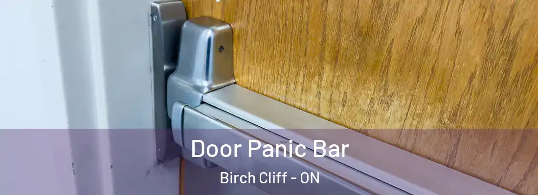  Door Panic Bar Birch Cliff - ON