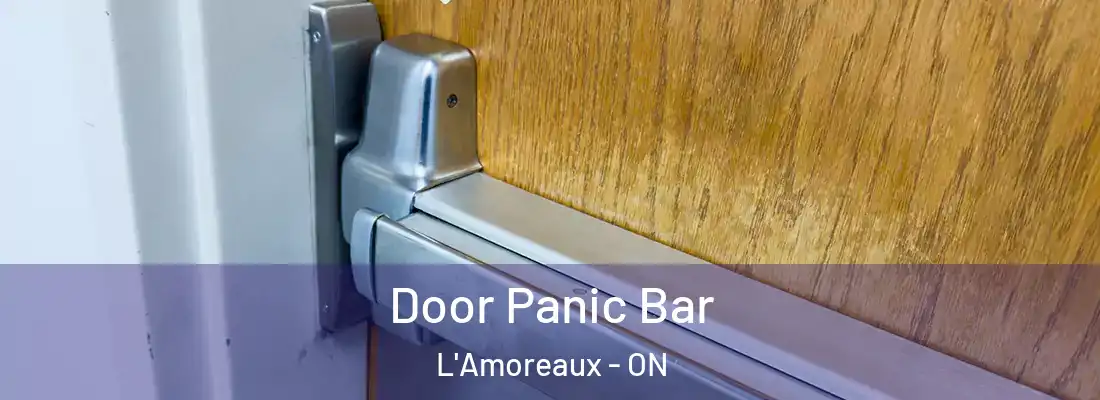  Door Panic Bar L'Amoreaux - ON