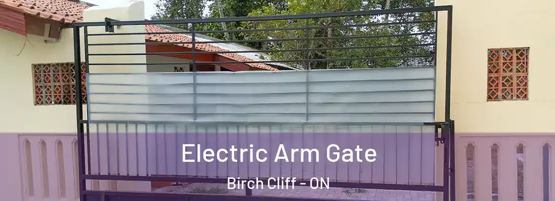  Electric Arm Gate Birch Cliff - ON