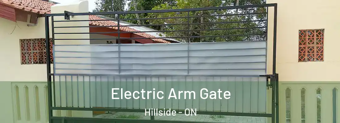  Electric Arm Gate Hillside - ON