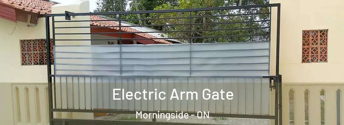  Electric Arm Gate Morningside - ON