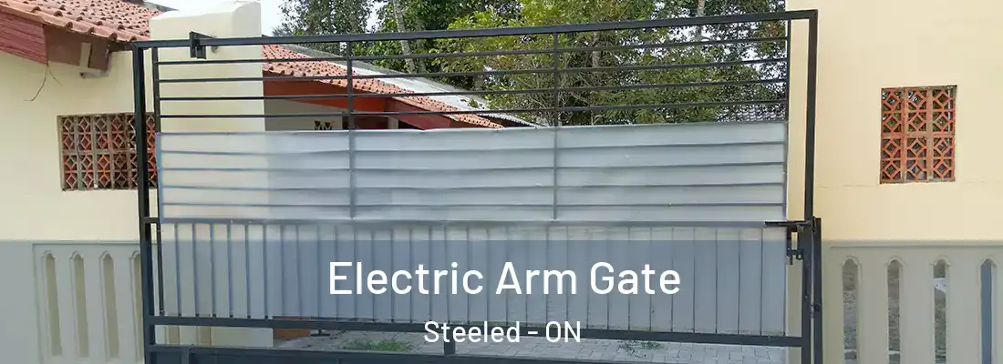  Electric Arm Gate Steeled - ON