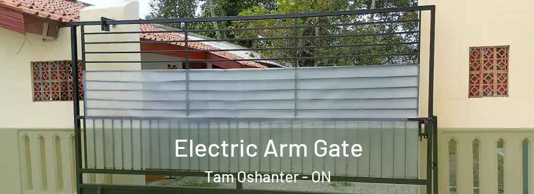  Electric Arm Gate Tam Oshanter - ON