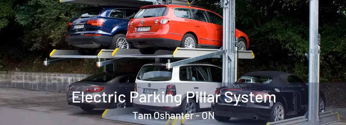  Electric Parking Pillar System Tam Oshanter - ON