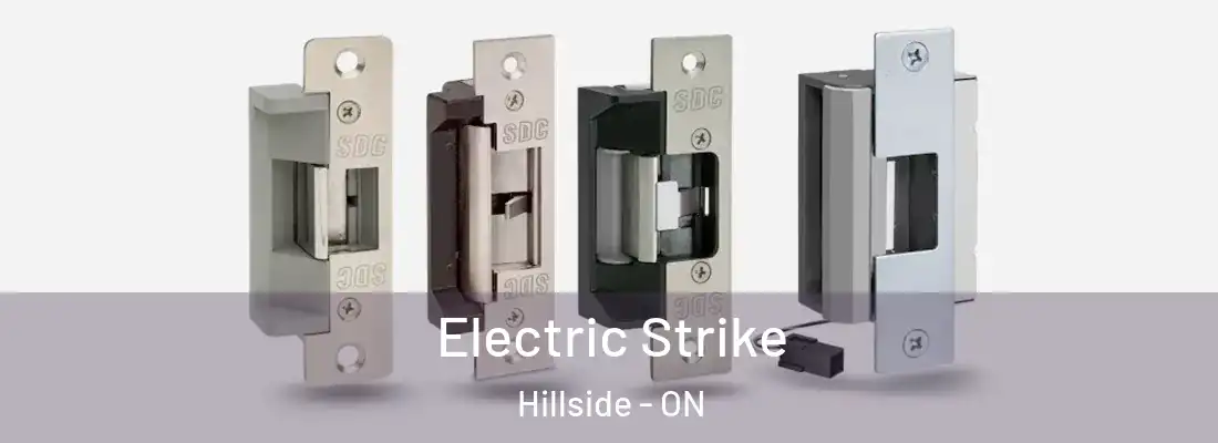  Electric Strike Hillside - ON