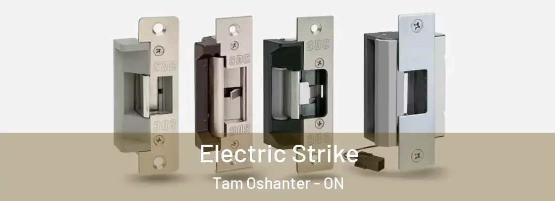  Electric Strike Tam Oshanter - ON