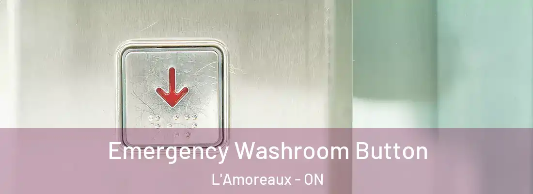  Emergency Washroom Button L'Amoreaux - ON