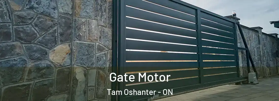  Gate Motor Tam Oshanter - ON
