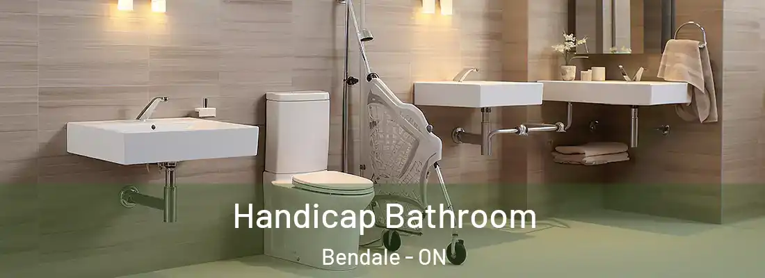  Handicap Bathroom Bendale - ON