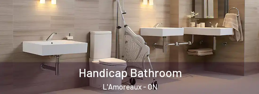  Handicap Bathroom L'Amoreaux - ON