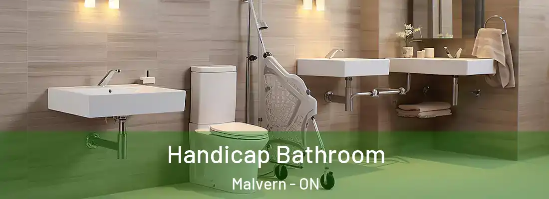  Handicap Bathroom Malvern - ON