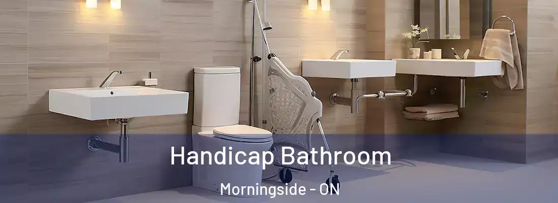 Handicap Bathroom Morningside - ON
