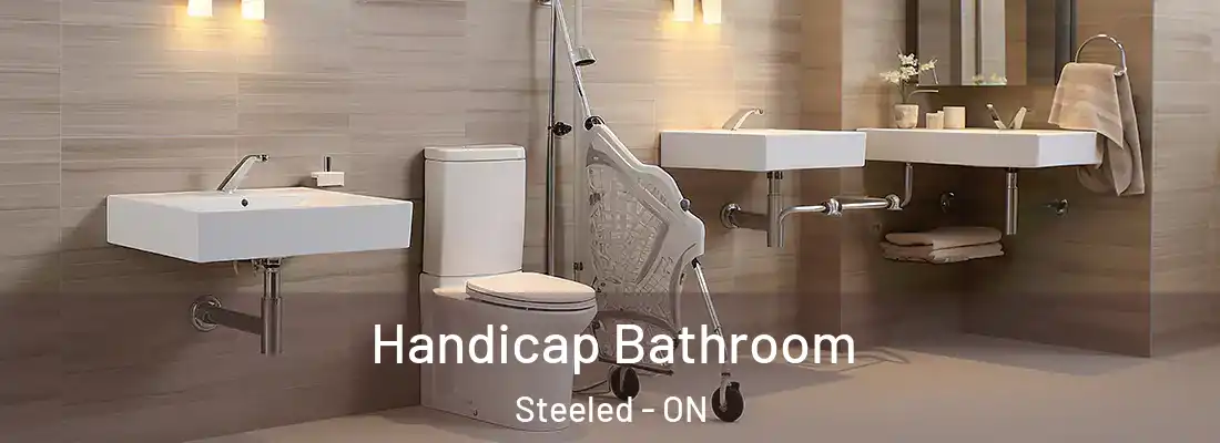  Handicap Bathroom Steeled - ON