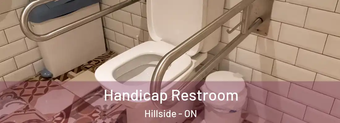  Handicap Restroom Hillside - ON