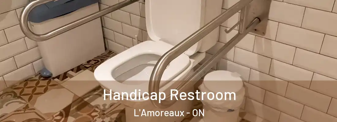  Handicap Restroom L'Amoreaux - ON