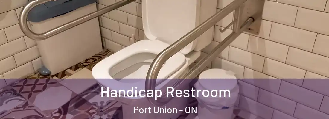  Handicap Restroom Port Union - ON