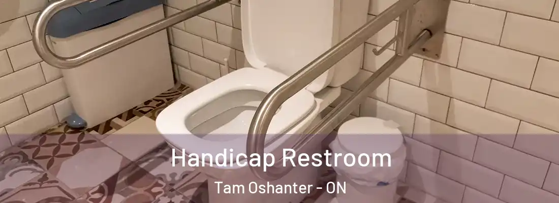  Handicap Restroom Tam Oshanter - ON