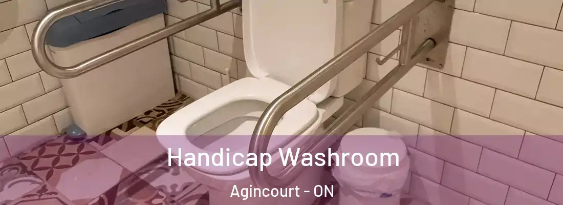  Handicap Washroom Agincourt - ON