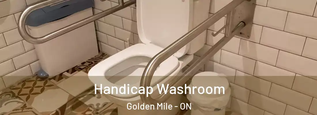  Handicap Washroom Golden Mile - ON