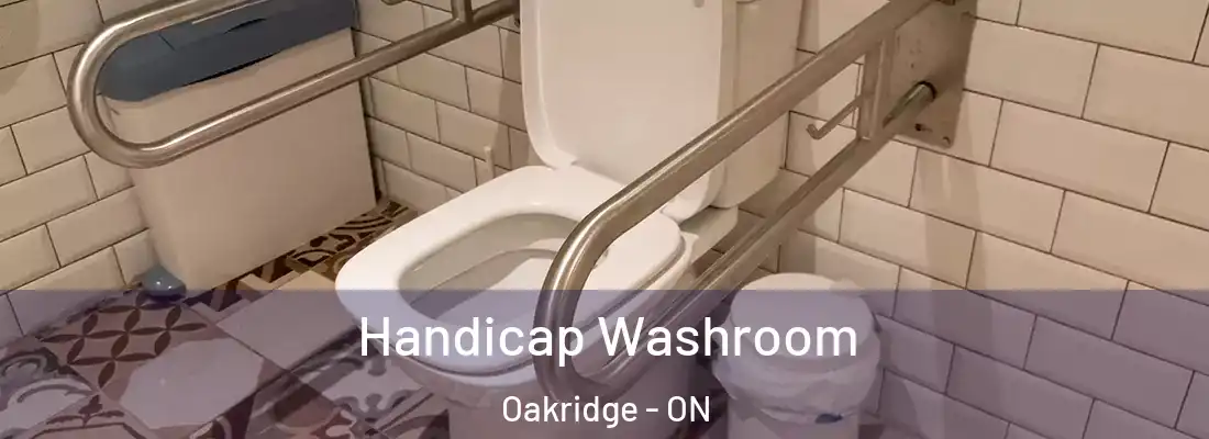  Handicap Washroom Oakridge - ON