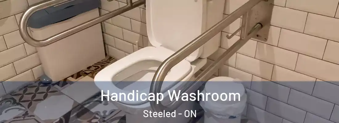  Handicap Washroom Steeled - ON