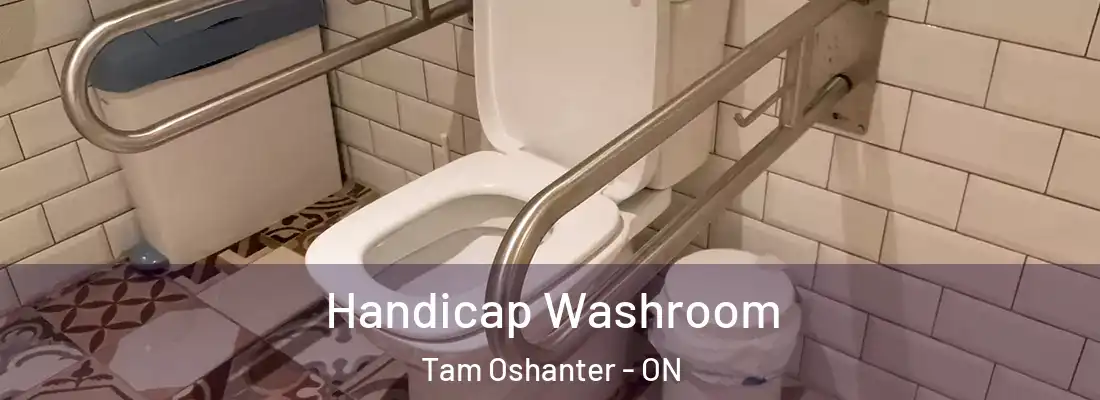  Handicap Washroom Tam Oshanter - ON