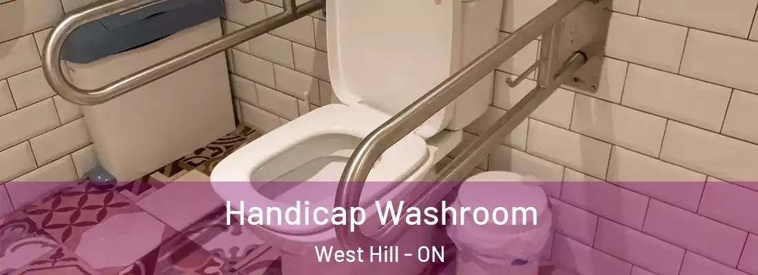  Handicap Washroom West Hill - ON