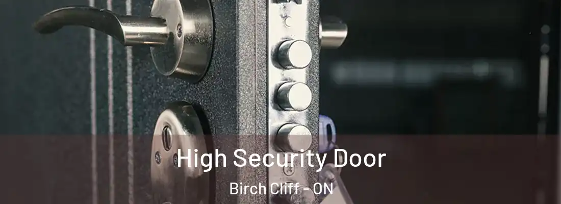  High Security Door Birch Cliff - ON