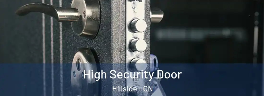  High Security Door Hillside - ON