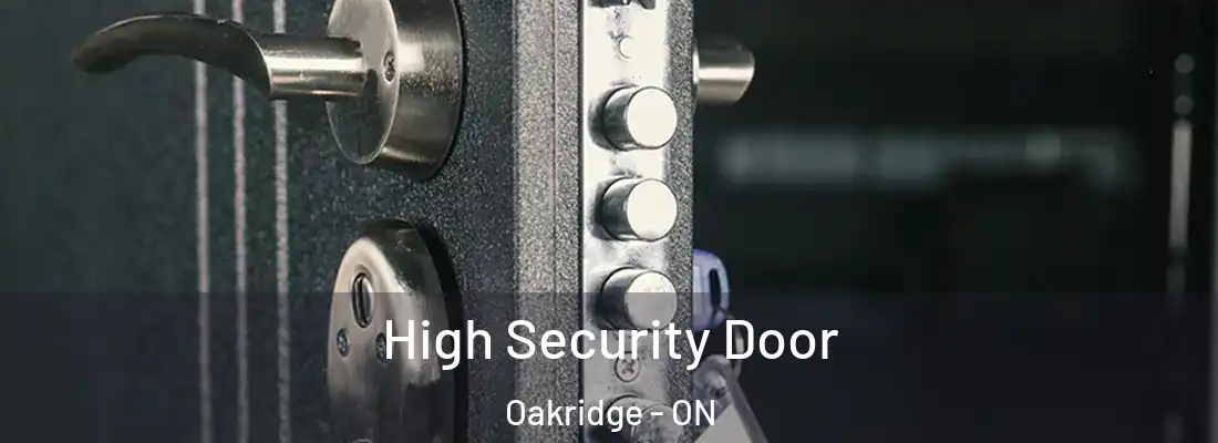  High Security Door Oakridge - ON