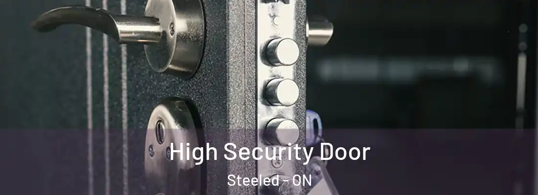  High Security Door Steeled - ON