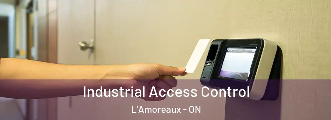  Industrial Access Control L'Amoreaux - ON